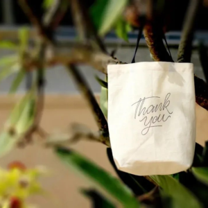 Gratitude Stationery Set